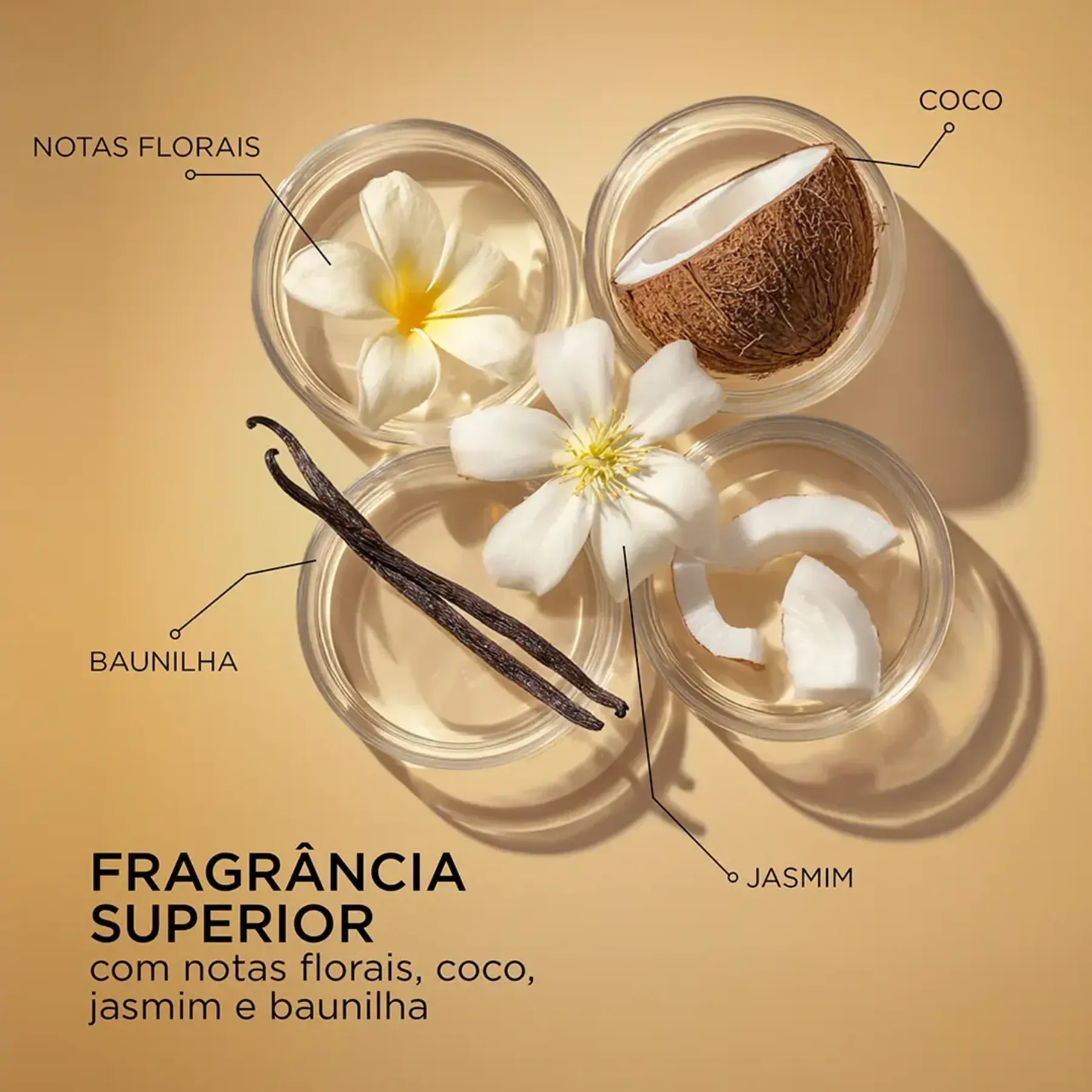 PANTENE MOLECULAR -4-